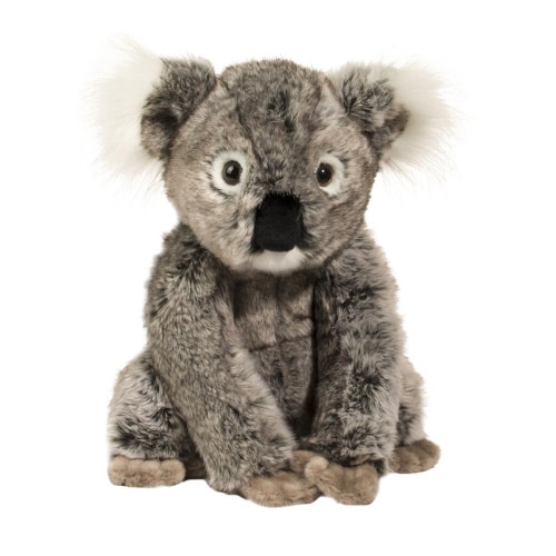 Kellen Koala